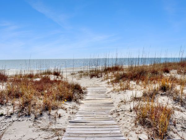 Luxury Beachfront Retreat in Cape San Blas