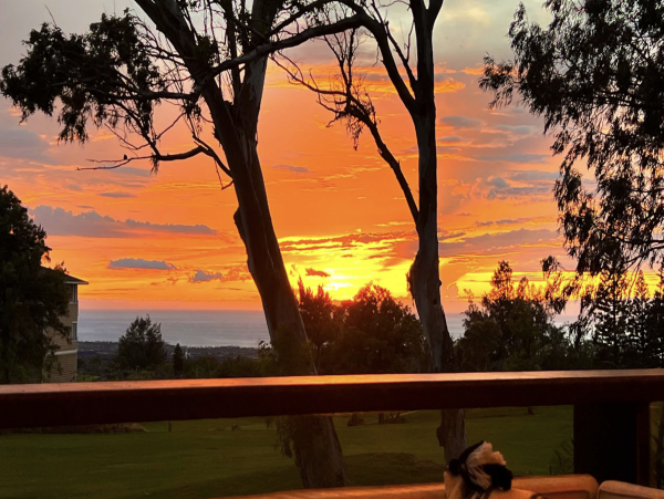 Absolutely Fabulous Waikoloa Two Bedroom Vacation Condo