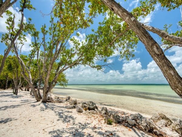 Charming 4 Bedroom Vacation Rental in Islamorada
