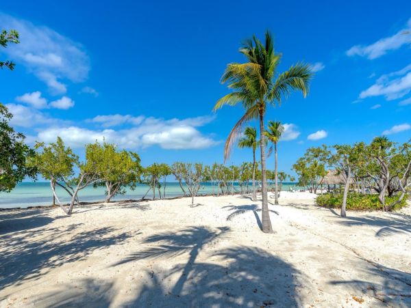 Charming 4 Bedroom Vacation Rental in Islamorada