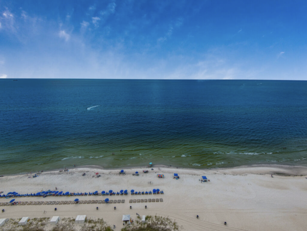 Panama City Beach Full Condo Beachfront & Pool