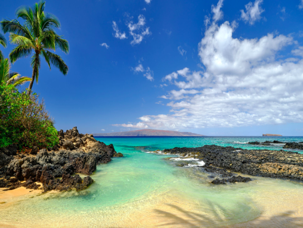 Coastal Comfort Steps from the Sand - 2 Bedroom Retreat in Kihei