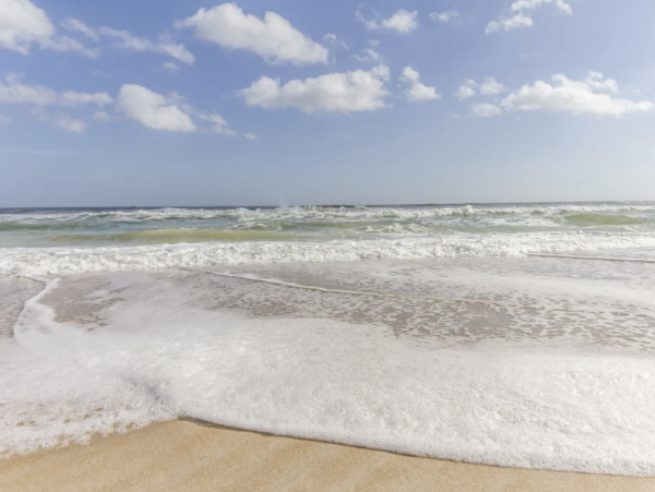 St Augustine Three Bedroom Retreat Short Walk to Beach