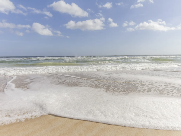 St Augustine Three Bedroom Beachfront Condo Sleeps Six