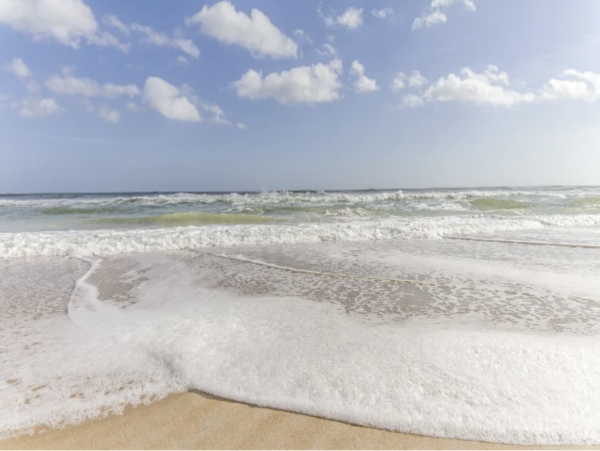 St Augustine Three Bedroom Vacation Rental Beachfront