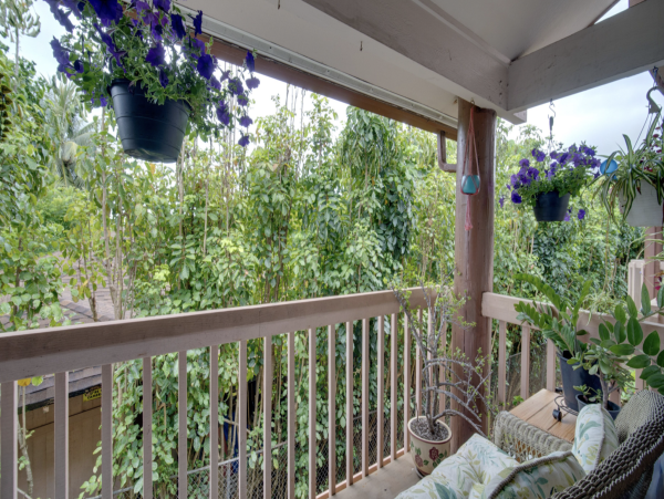 Kauai 2 Bedroom Condo Sleeps 4 Garden View Short Walk to Beach