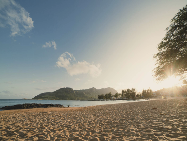 Kauai 2 Bedroom Condo Sleeps 4 Garden View Short Walk to Beach