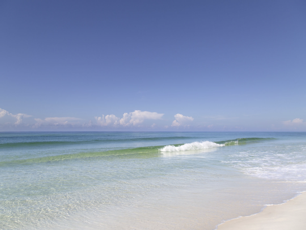 Grayton Beach Vacation Rental  30A Family Beach House with Guest Cottage