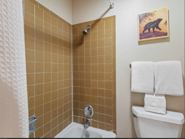 Luxury Four Bedroom Ski Condo in Vail