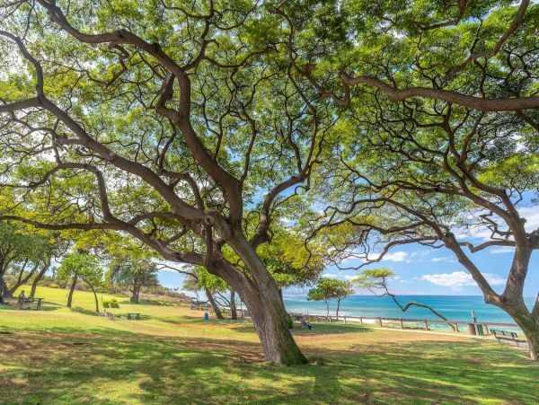 Kihei Vacation Condo with 2 Bedrooms Communal Pool