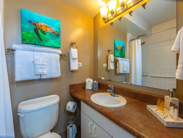 Oceanfront Two Bedroom Vacation Rental in Wailea Sleeps 4