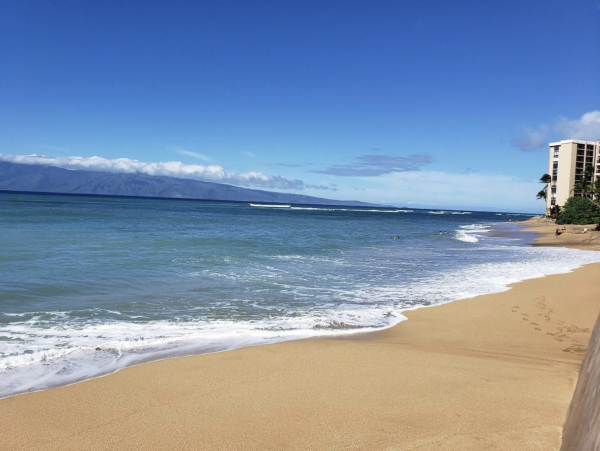 Maui One Bedroom Condo Five Mins Stroll onto Sandy Beach