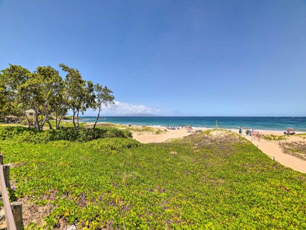 Wailea Condo 1076612