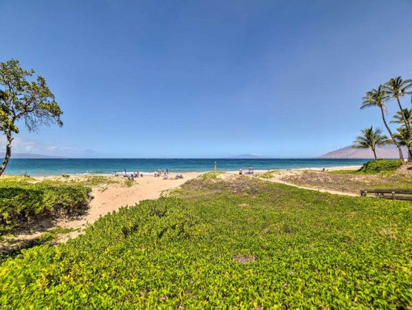Wailea Condo 1076612
