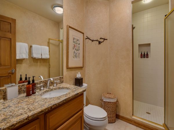 Luxury Beaver Creek Vacation Residence