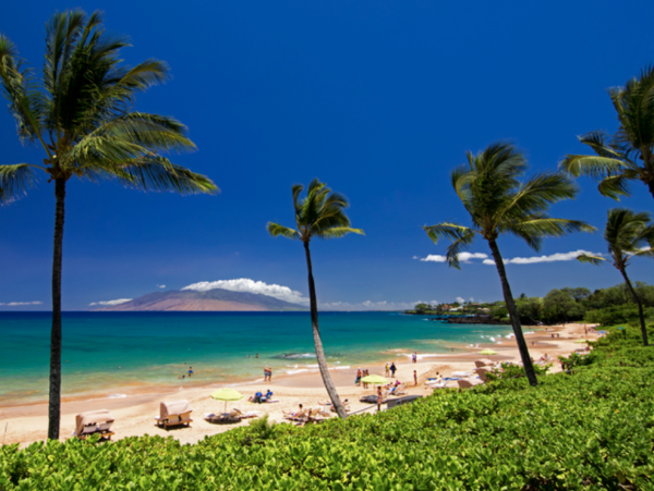 Maui Eleven Bedroom Ocean Front Estate - Private Path to The Ocean