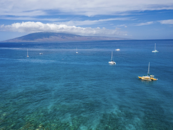 Maui Eleven Bedroom Ocean Front Estate - Private Path to The Ocean