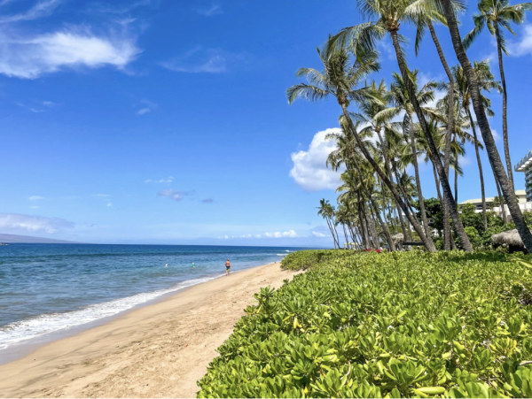 Maui Eleven Bedroom Ocean Front Estate - Private Path to The Ocean