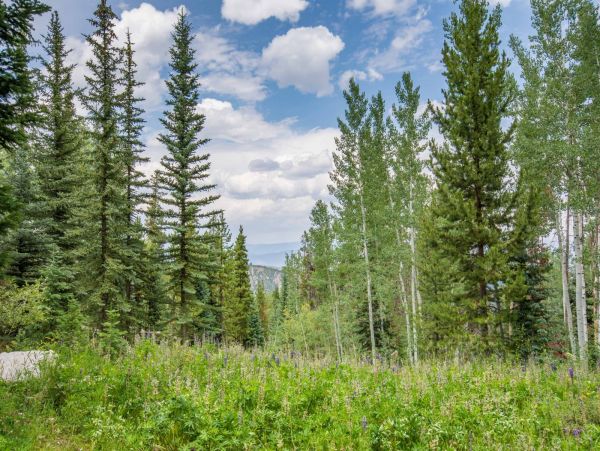 Five Bedroom Ski In - Ski Out Vacation Rental in Colorado