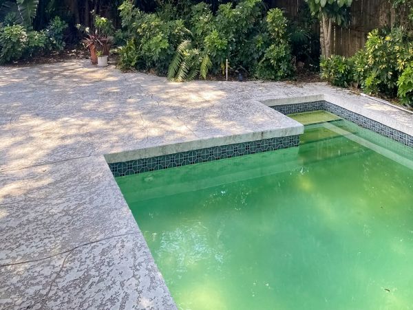 Stylish North Sarasota Private Home with Pool & Fenced Yard