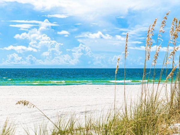 St. Pete Beach Vacation Rental with Private Pool Dog-Friendly Florida Home