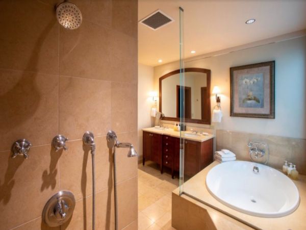 Wailea Home 1078906