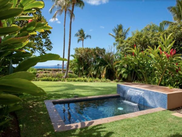 Wailea Home 1078906
