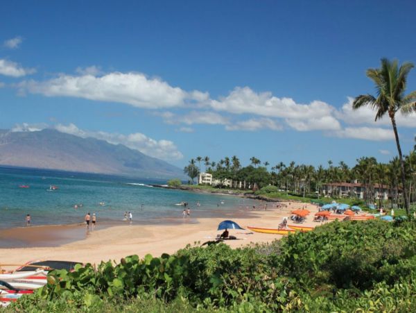 Wailea Home 1078907
