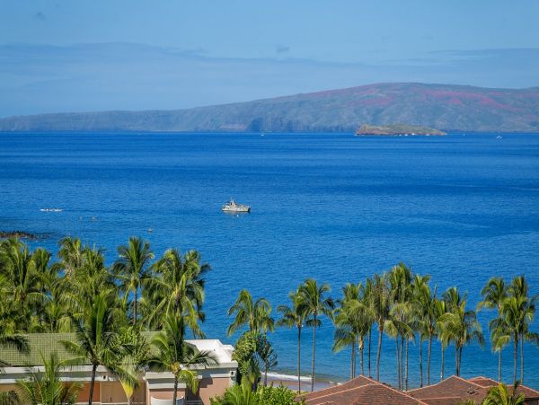 Wailea Home 1078908