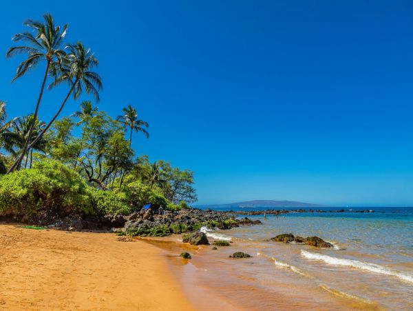 Stunning Three Bedroom Vacation Rental in Wailea Sleeps 8