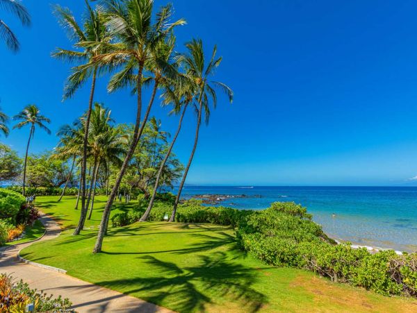 Stunning Three Bedroom Vacation Rental in Wailea Sleeps 8
