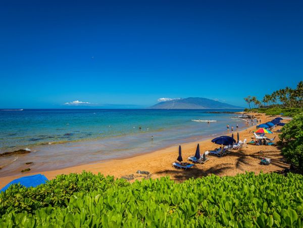 Stunning Three Bedroom Vacation Rental in Wailea Sleeps 8