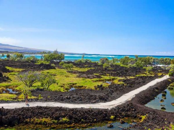 Waikoloa Luxury Five Bedroom Estate with Private Pool & Spa