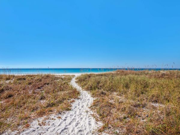 Beach Front Pet Friendly Beach Home