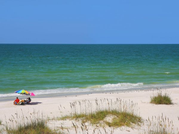 Longboat Key Vacation Rental - Luxury Home with Pool & Garden Oasis