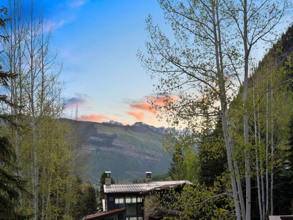 Vail Walk to Lift Nine Bedroom Vacation Rental