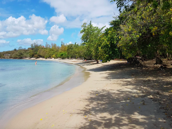 Martinique Four Bedroom Luxury Villa Walk to Beach