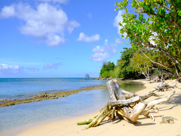Martinique Four Bedroom Luxury Villa Walk to Beach