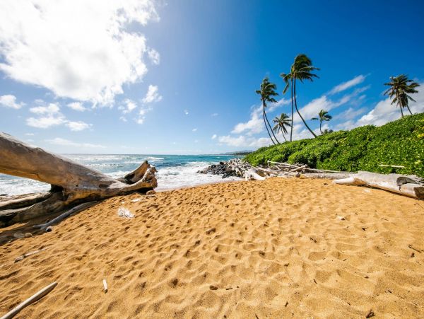 Kapaa Vacation Condo Two Bedroom