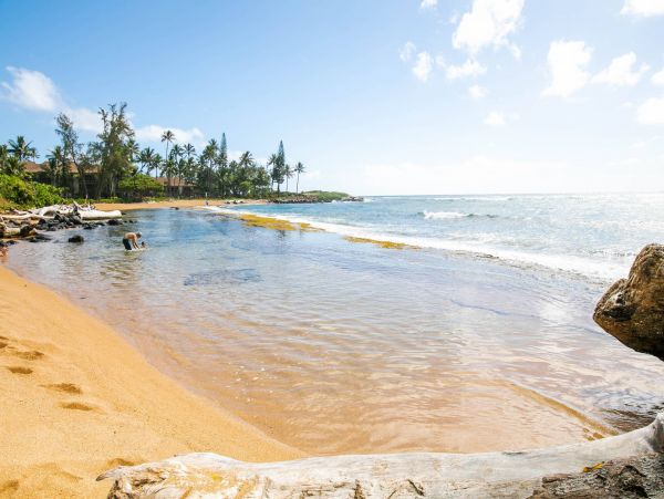 Kapaa Vacation Condo Two Bedroom