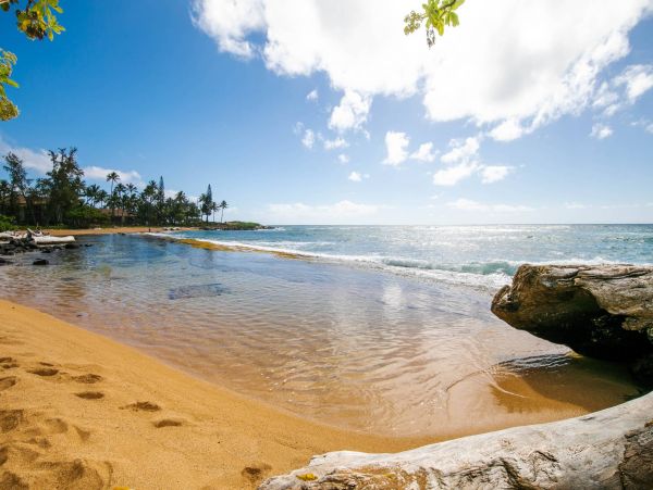 Kapaa Vacation Condo Two Bedroom
