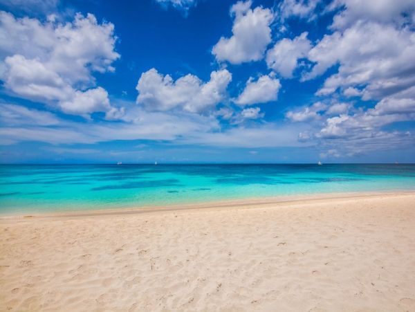 Oceanfront Barbados Vacation Home Eight Bedroom