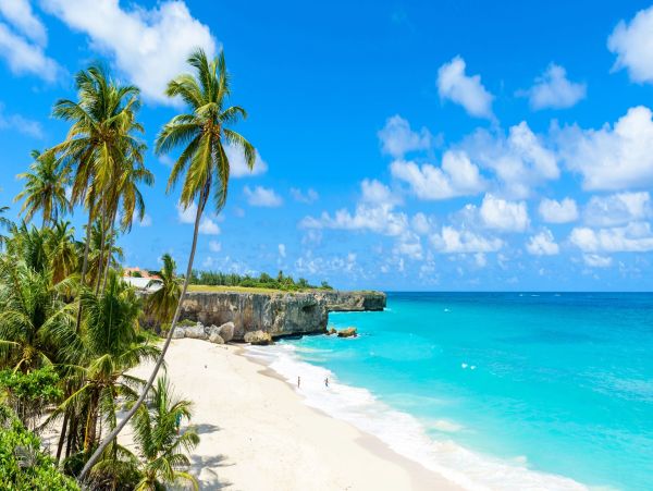 Luxury Barbados Vacation Rental - Modern Villa with Pool & Concierge
