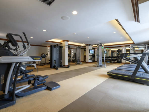 Pure Lionshead Vacation Rental