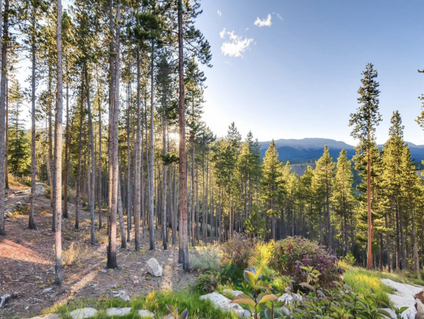 Luxury Mountain Vacation Retreat in Breckenridge with Hot Tubs