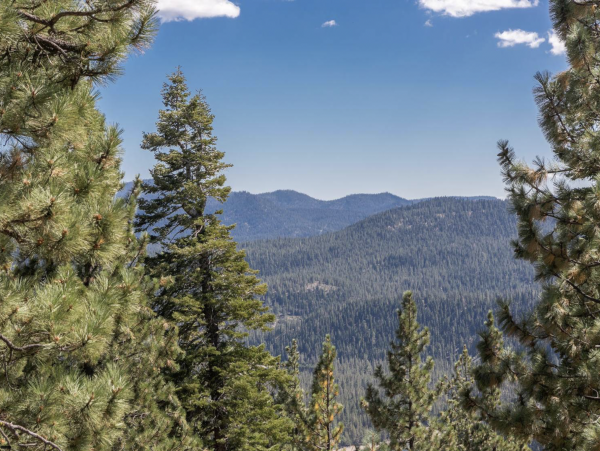 Truckee Lake Retreat