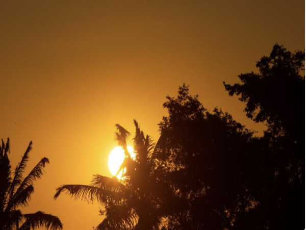 Pure Paradise Awaits Your Arrival.
