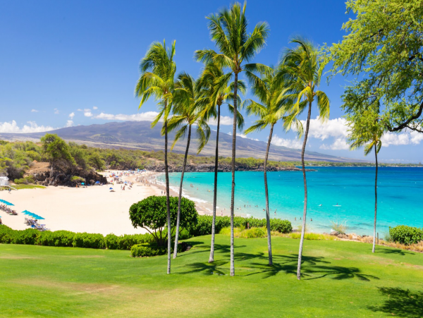 Big Island Perfect Getaway with 4 Bedrooms