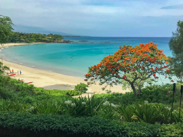 Big Island Perfect Getaway with 4 Bedrooms