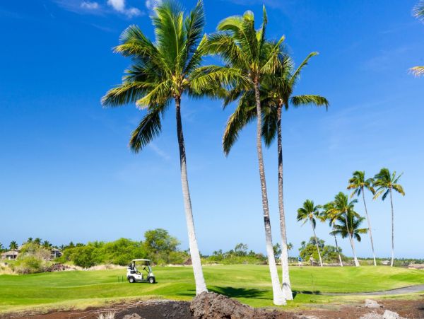 Golf Course & Mountain View Five Bedroom Home in Waikoloa Village